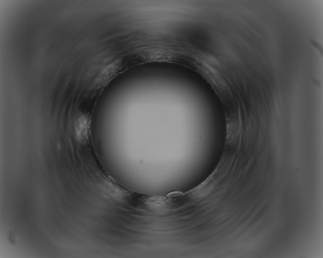 X0000093370142200710191123