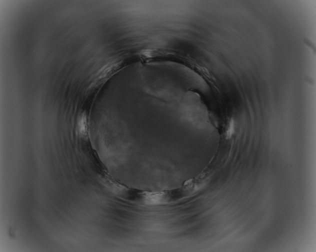 X0000093370143200710191123