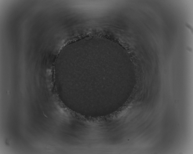 X0000093370144200710191123