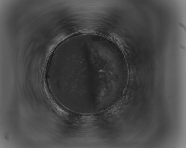 X0000093370145200710191122