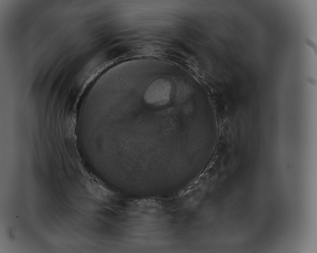 X0000093370146200710191122