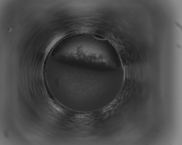 X0000093370147200710191122