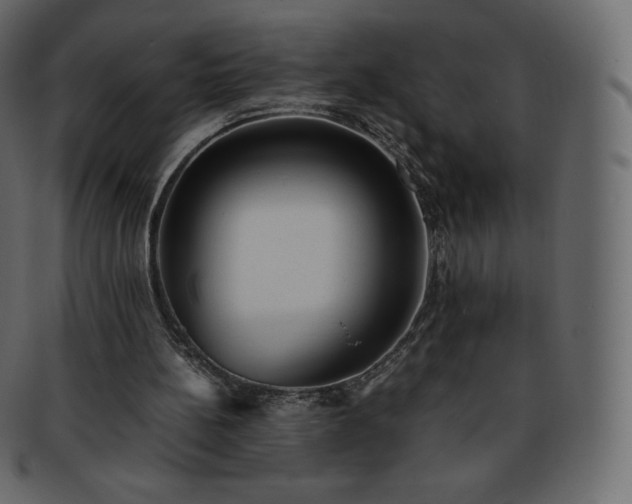 X0000093370148200710191122