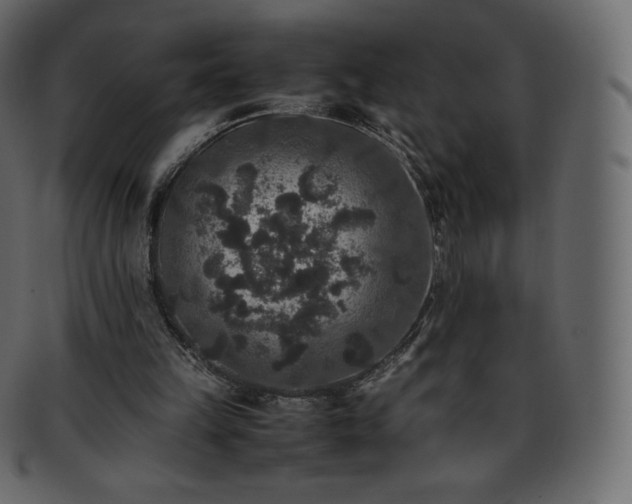 X0000093370149200710191122