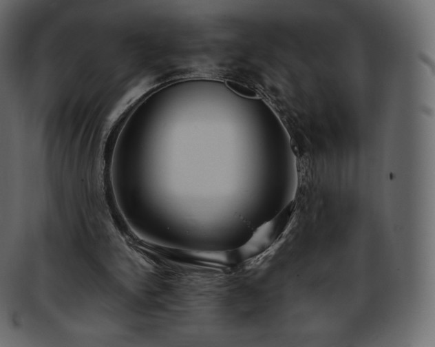 X0000093370150200710191122