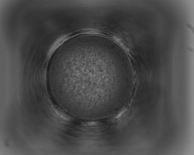 X0000093370151200710191122