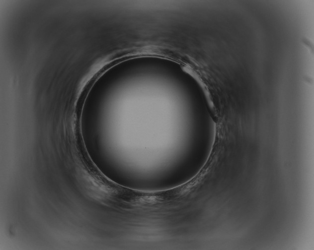 X0000093370152200710191122