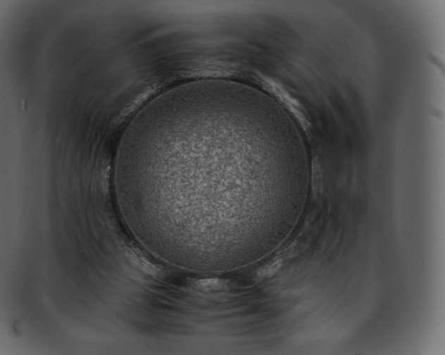 X0000093370153200710191122