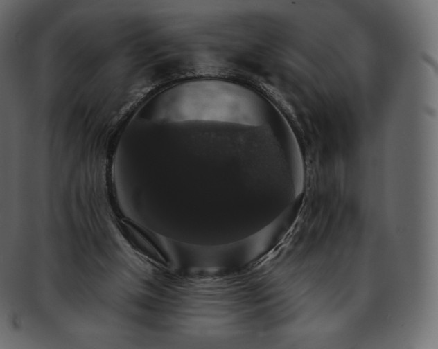 X0000093370154200710191122