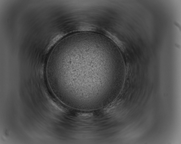 X0000093370155200710191122