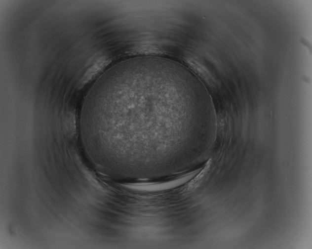 X0000093370158200710191122