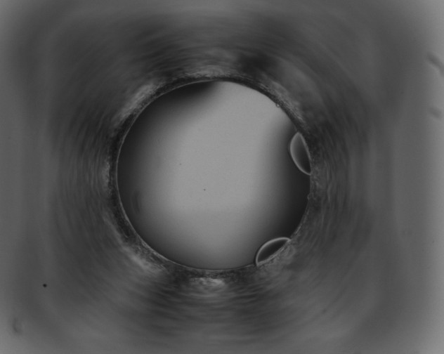 X0000093370159200710191122