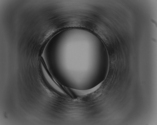 X0000093370160200710191122