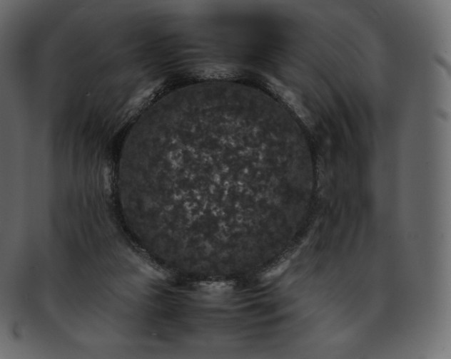 X0000093370161200710191123