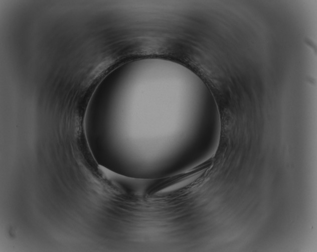 X0000093370164200710191123