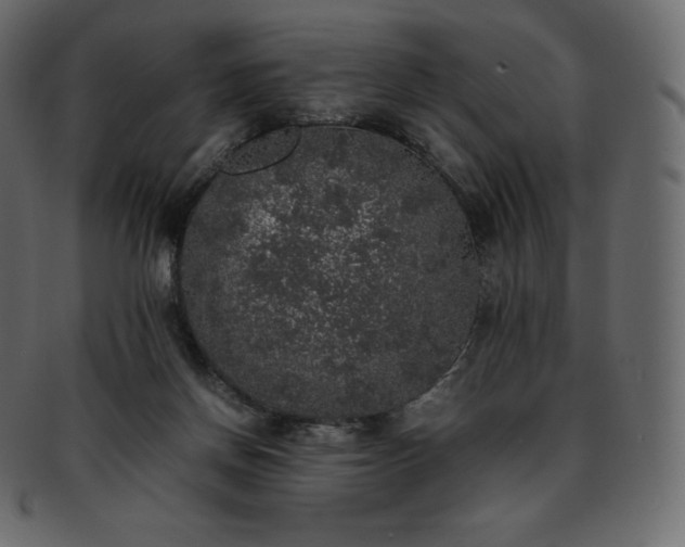 X0000093370166200710191123