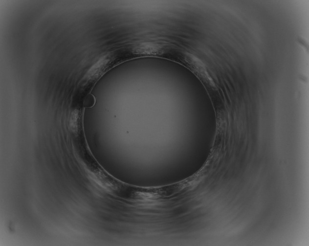 X0000093370167200710191123