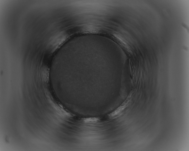 X0000093370168200710191123