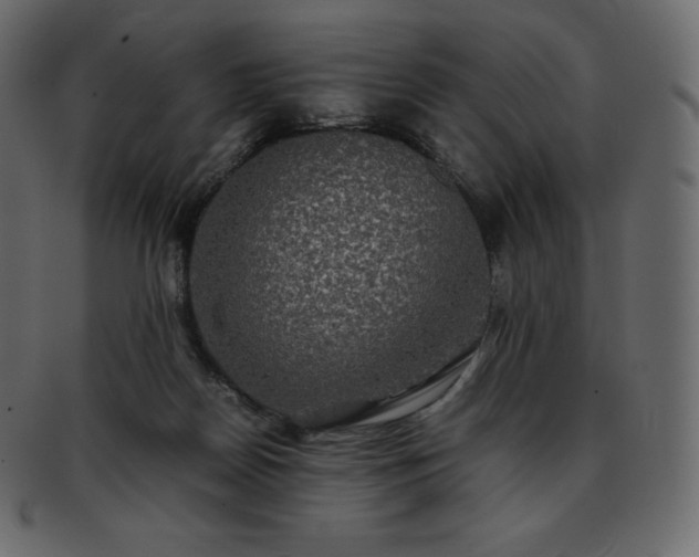 X0000093370170200710191123