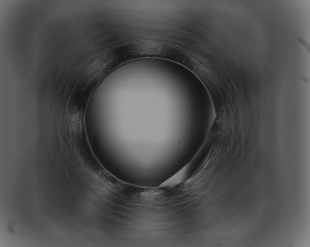 X0000093370172200710191123