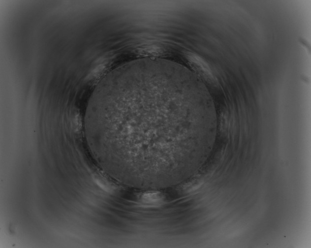 X0000093370173200710191123