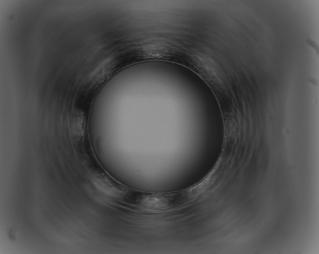 X0000093370174200710191123