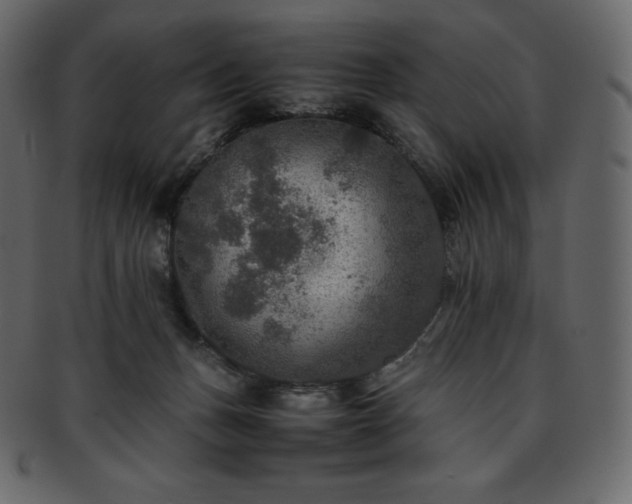 X0000093370175200710191123