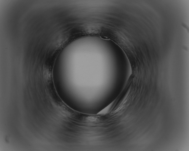 X0000093370176200710191123