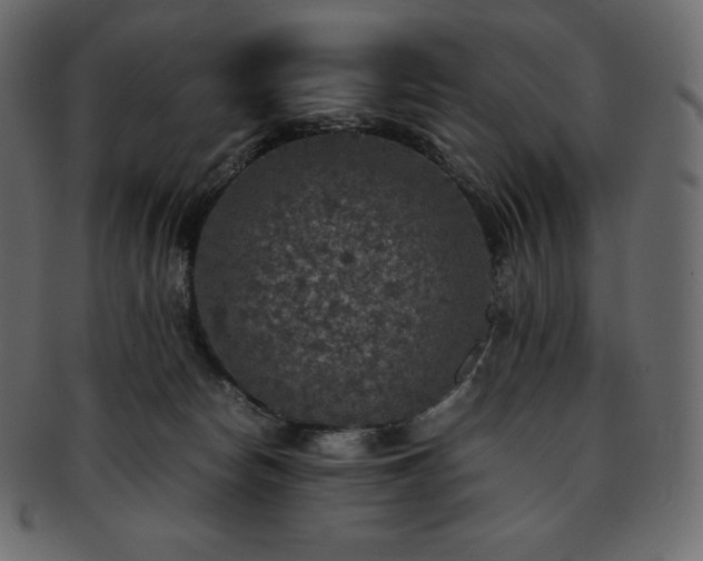 X0000093370178200710191123