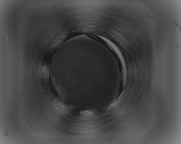 X0000093370180200710191123