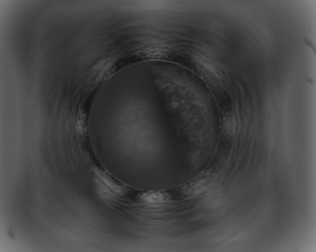 X0000093370181200710191123