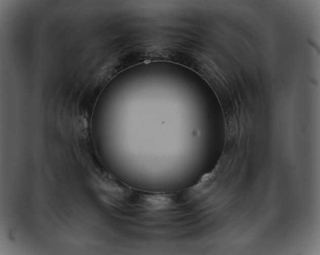 X0000093370183200710191123