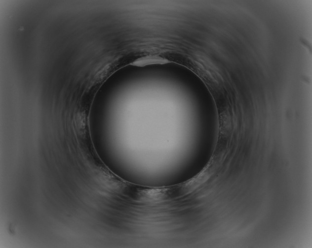 X0000093370184200710191123