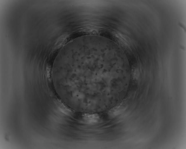 X0000093370185200710191123