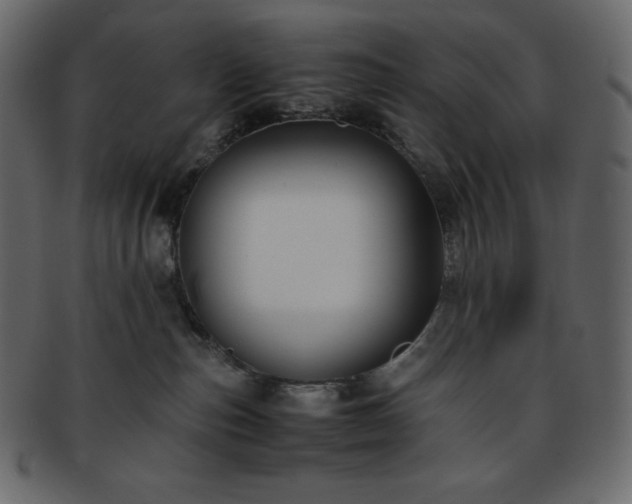 X0000093370187200710191123