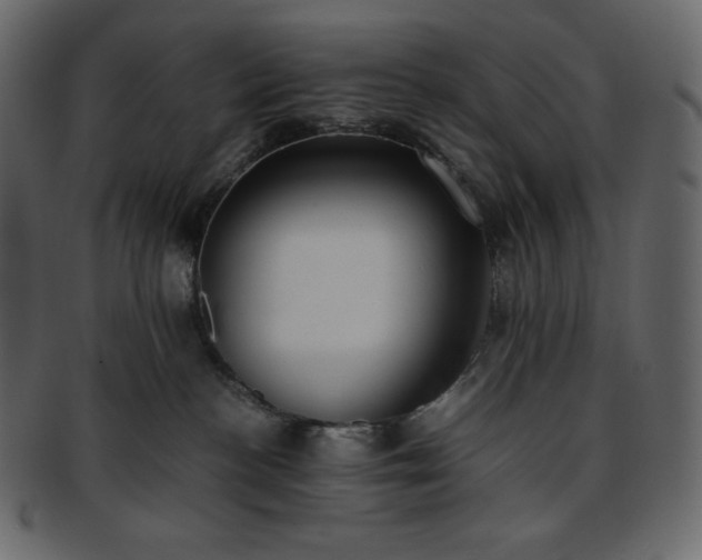 X0000093370188200710191123