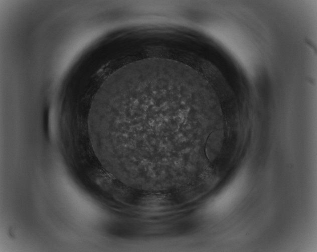 X0000093370189200710191123