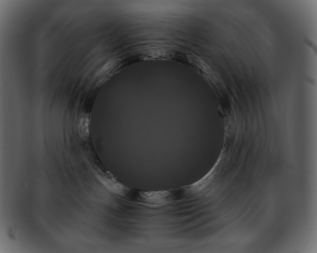 X0000093370191200710191123