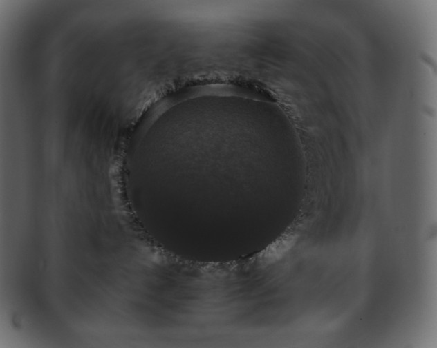 X0000093370192200710191123