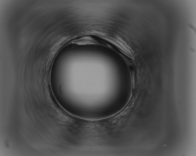 X0000093370193200710191122