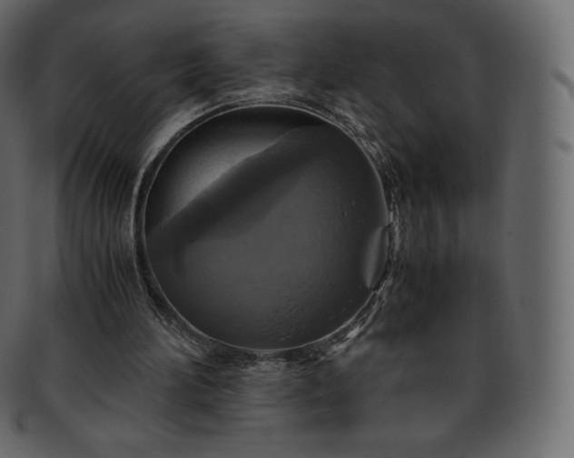 X0000093370196200710191122