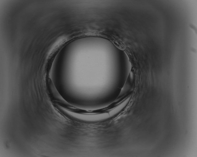 X0000093370197200710191122