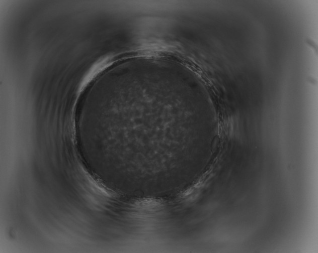 X0000093370198200710191122