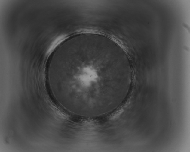 X0000093370199200710191122