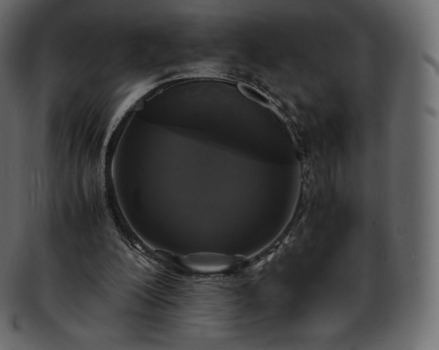 X0000093370200200710191122