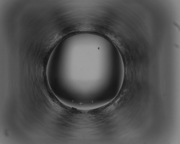 X0000093370201200710191122