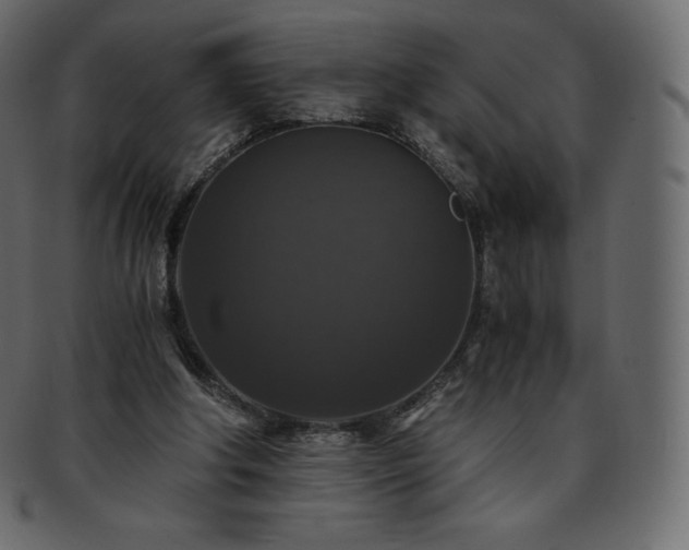 X0000093370202200710191122