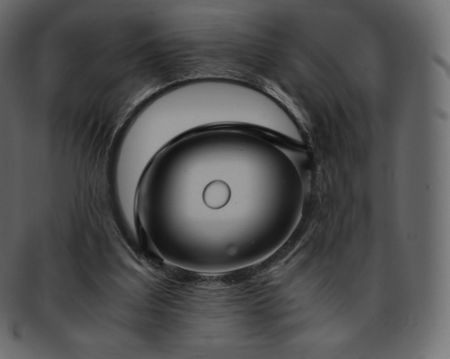 X0000093370203200710191122