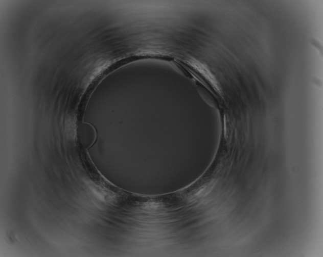 X0000093370204200710191122