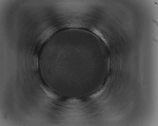 X0000093370205200710191122